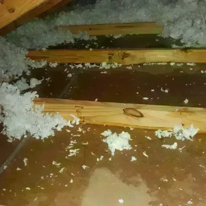 Attic Water Damage in Vero Beach South, FL