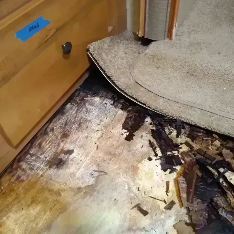 Best Wood Floor Water Damage Service in Vero Beach South, FL